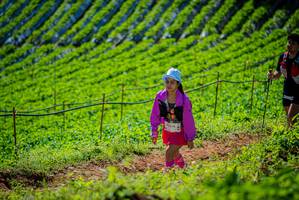 BIB: 
                            <button type="button" onclick="openModal(19162807)" class="btn btn-primary btn-sm float-right btn-popup" data-toggle="modal" data-target=".modal-high-quality">
                        <i class="fas fa-shopping-cart"></i> Add to Cart
                    </button>
                                            <button type="button" onclick="isThisMe(19162807, true)" class="btn btn-success btn-sm float-right btn-popup btn-isme hidden" data-toggle="tooltip" data-placement="bottom" title="นี่คือรูปของคุณใช่ไหม คลิกที่นี่เพื่อเอาเข้าอัลบั้ม">
                        <i class="fas fa-plus"></i> Add to album
                    </button>
                    <button type="button" onclick="isThisMe(19162807, false)" class="btn btn-warning btn-sm float-right btn-popup btn-isnotme hidden">
                        <i class="fas fa-ban"></i> Remove from album
                    </button>